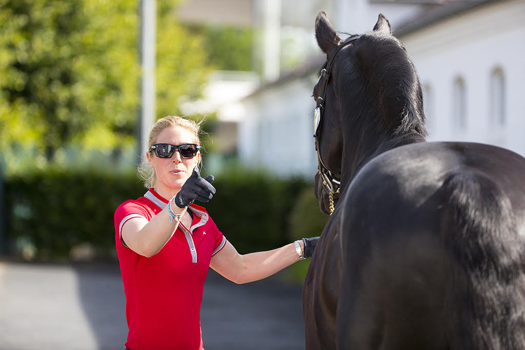 How can marketing through PR help your equestrian business?
