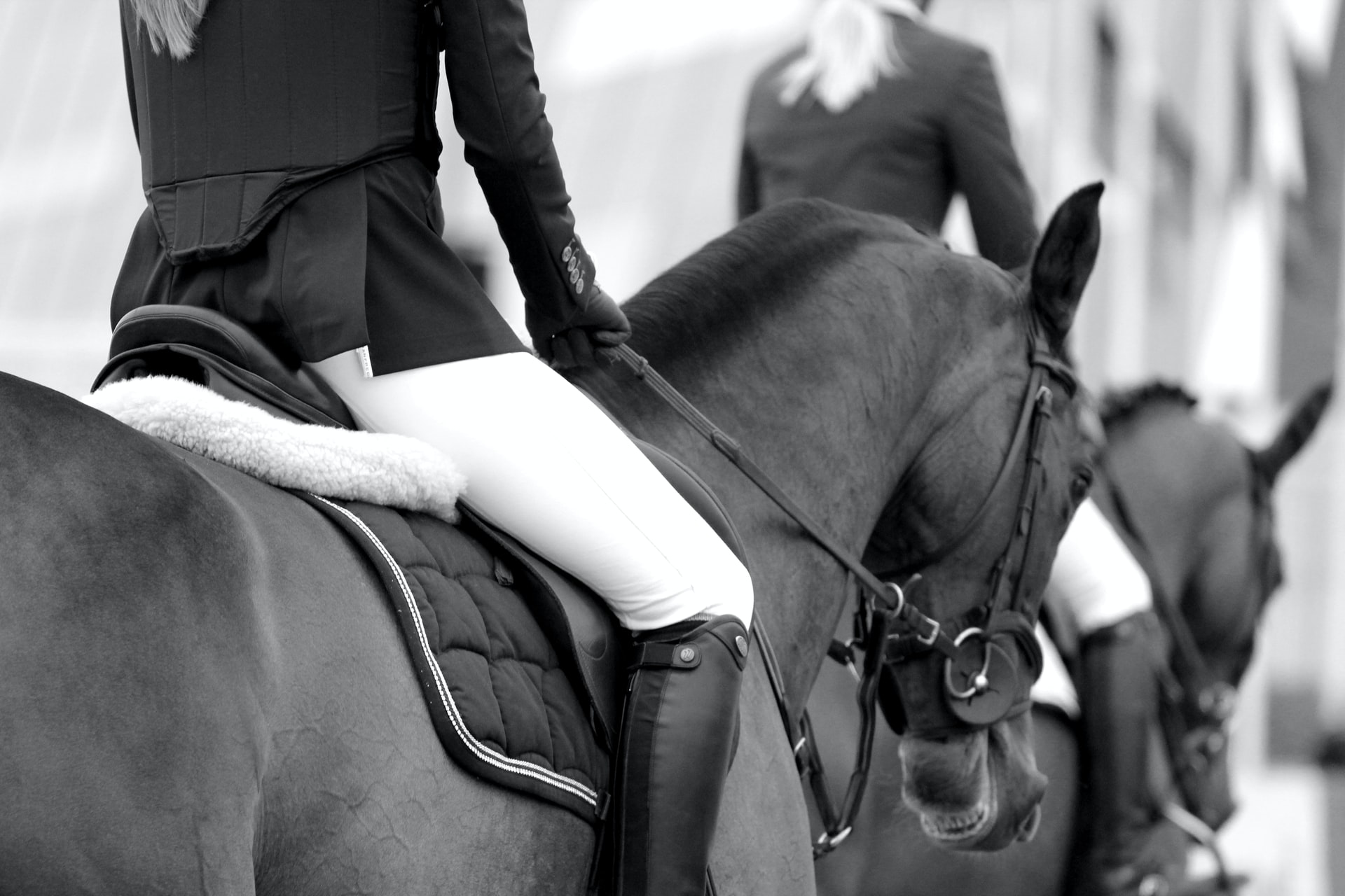 5 Things Equestrian Businesses Can Learn from Other Industries